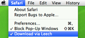 leech screenshot download manager