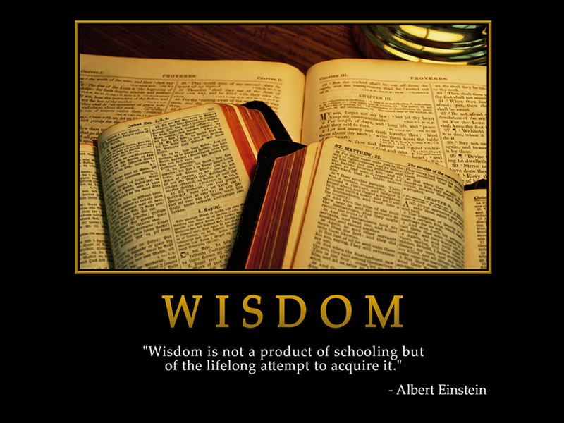 WISDOM Albert Einstein