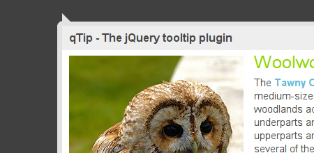 qTip screenshot tooltip jquery plugin